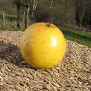 Pomme Orange